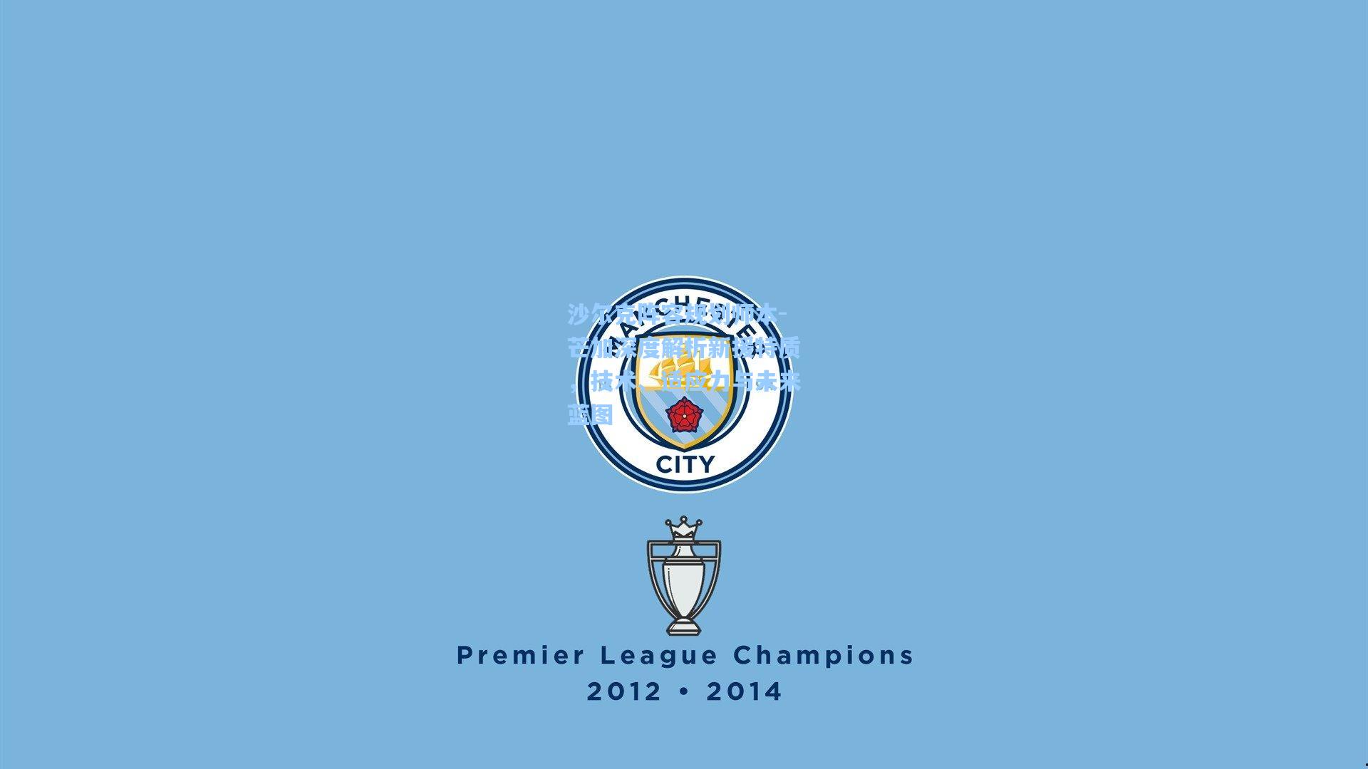 沙尔克阵容规划师本-芒加深度解析新援特质,技术、适应力与未来蓝图